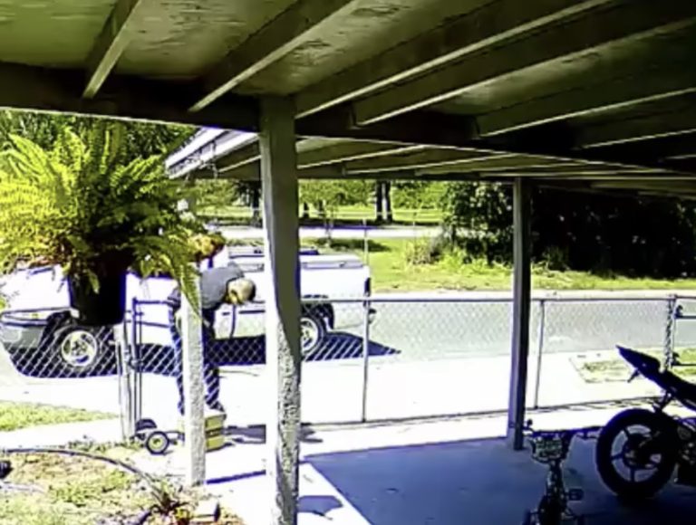 Winter Haven Police Looking For Man Who Reaches Over Resident Fence To Steal Amazon Package