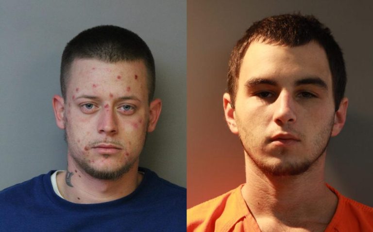 K9 & Helicopter Air Units Help Capture Pair of Purse Snatchers In Lake Wales Saturday