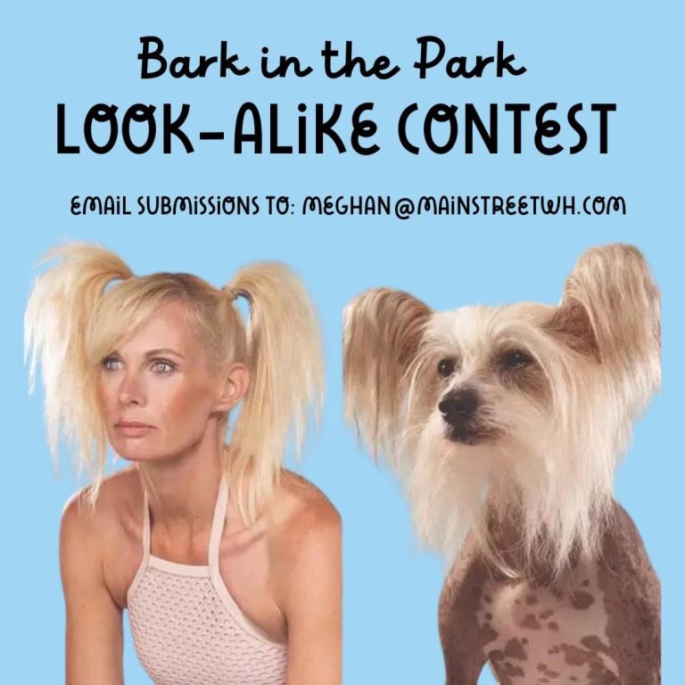 Bark In The Park’s Look Alike Contest Will Crown Three Winners