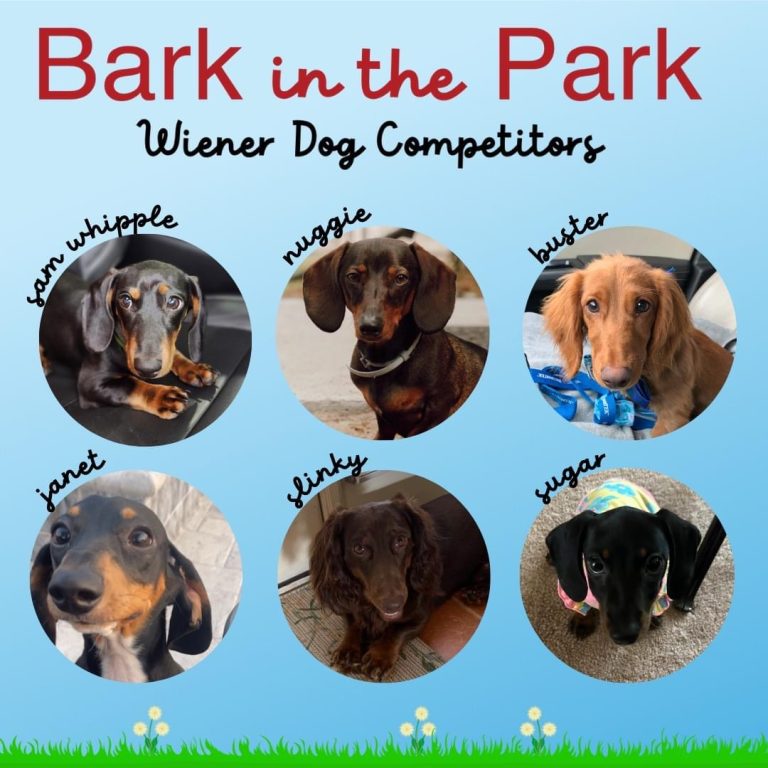 2023 Wiener Dog Race Registration Now Open For Bark In The Park