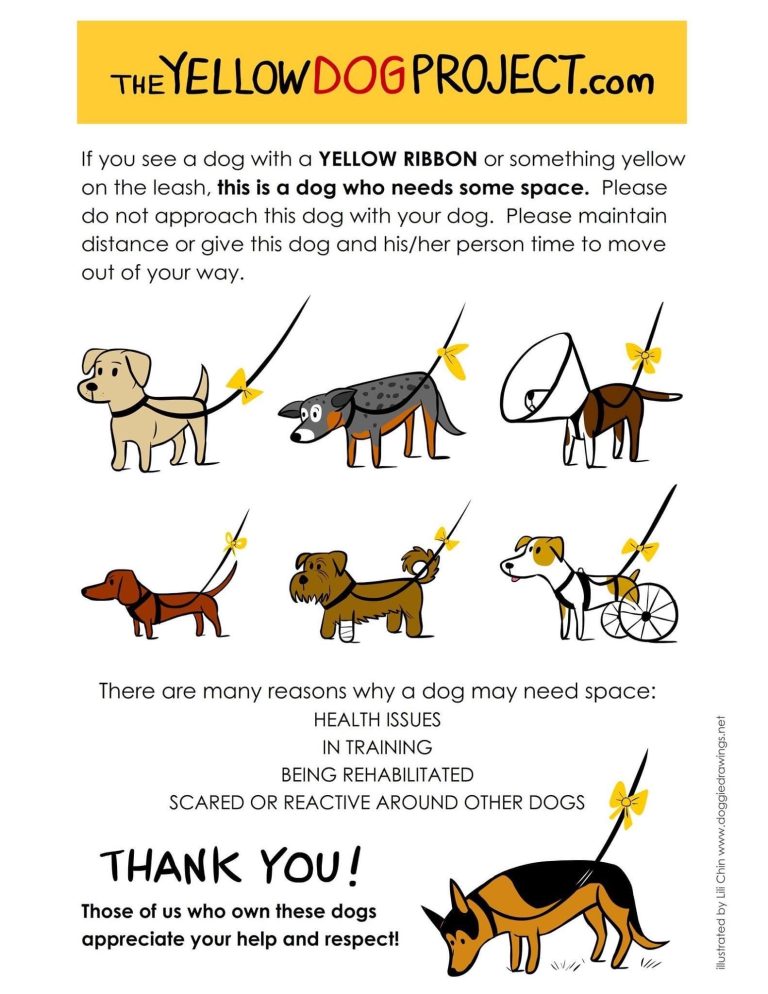 Meaning Of Dogs Wearing Yellow Ribbons On Leashes At Bark In The Park Event May 19