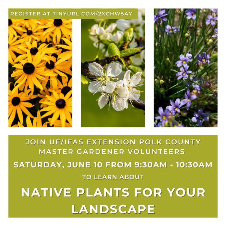UF/IFAS Extension Polk County Hosting Native Plants For Your Home Landscape Class