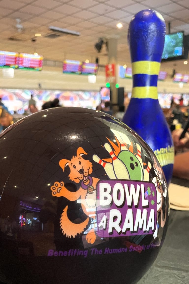 More Than 40 Teams Attend Humane Society Bowl-A-Rama