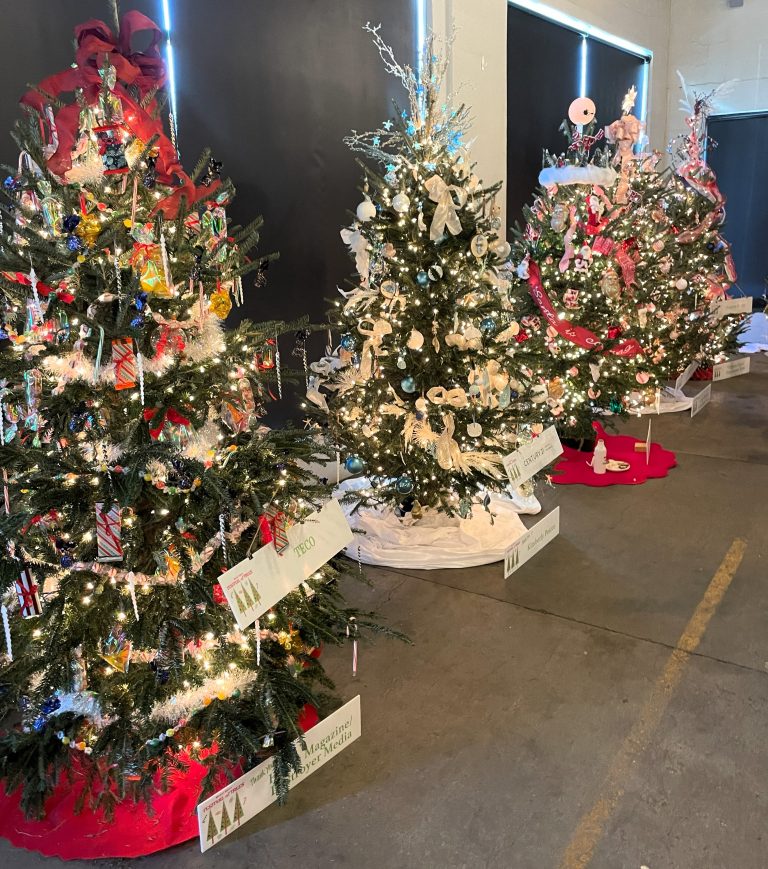 Deck the Halls for a Good Cause! Grove Roots Celebrated Festival of Trees